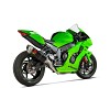 Full Evolution open Hexagonal Carbon Ninja ZX-10 RR 21-23