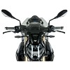 ΖΕΛΑΤΙΝΑ WRS BMW S 1000 R 21-24