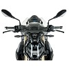 ΖΕΛΑΤΙΝΑ WRS BMW S 1000 R 21-24