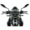 ΖΕΛΑΤΙΝΑ WRS BMW S 1000 R 21-24