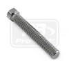 PRO-BOLT ΒΙΔΕΣ ΤΙΤΑΝΙΟΥ ΑΞΟΝΑ M8x(1.25mm)x55mm