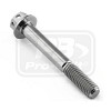 PRO-BOLT ΒΙΔΑ ΤΙΤΑΝΙΟΥ ΕΞΑΓΩΝΗ M6x(1.00mm)x45mm - Race Spec