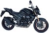 FABBRI Ανεμοθώρακας-Ζελατίνα NAKED ΜΑΥΡΗ MAT KAWASAKI Z750 11-13 (K125/DDX)