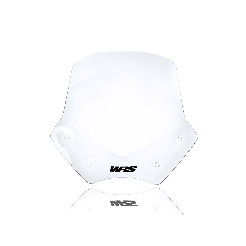 ΖΕΛΑΤΙΝΑ WRS BMW R 1200 R 06-14