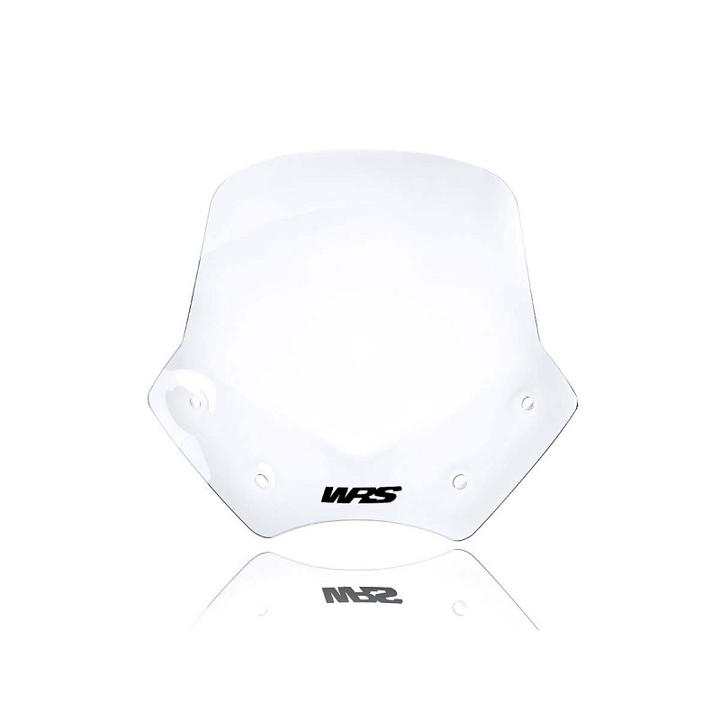 ΖΕΛΑΤΙΝΑ WRS BMW R 1200 R 06-14