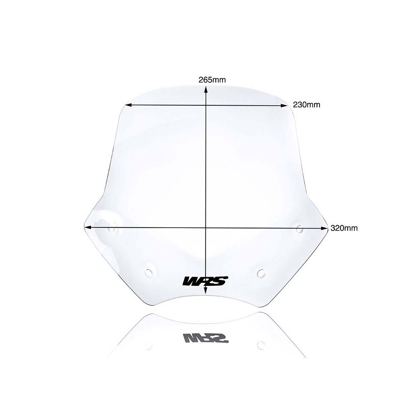 ΖΕΛΑΤΙΝΑ WRS BMW R 1200 R 06-14
