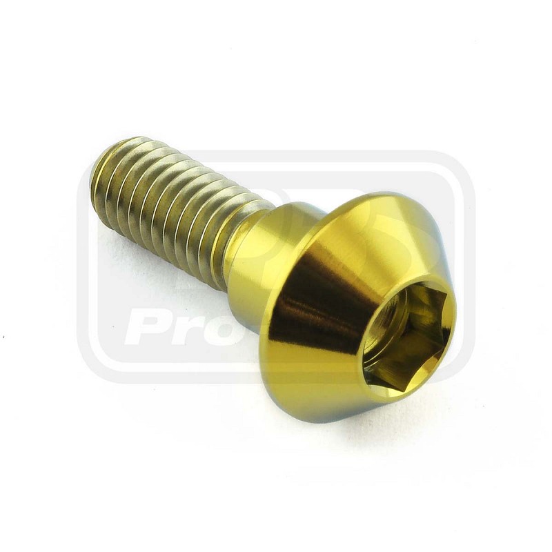 PRO-BOLT ΒΙΔΕΣ ΤΙΤΑΝΙΟΥ ΠΛΑΤΥΚΕΦΑΛΕΣ ΜΕ ΑΠΑΣΤΑΤΗ ΔΙΣΚΟΦΡΕΝΟΥ YAMAHA