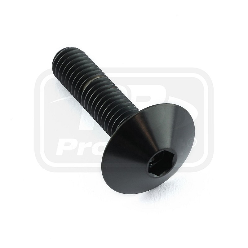 PRO-BOLT ΒΙΔΑ ΤΙΤΑΝΙΟΥ ΠΛΑΤΥΚΕΦΑΛΗ M6x(1.00mm)x25mm