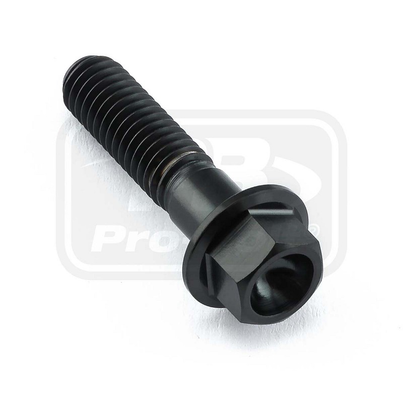 PRO-BOLT ΒΙΔΑ ΤΙΤΑΝΙΟΥ ΕΞΑΓΩΝΗ M6x(1.00mm)x25mm