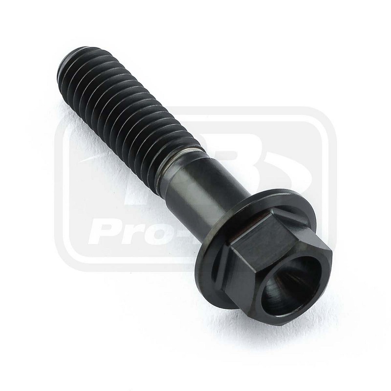PRO-BOLT ΒΙΔΑ ΤΙΤΑΝΙΟΥ ΕΞΑΓΩΝΗ M6x(1.00mm)x25mm