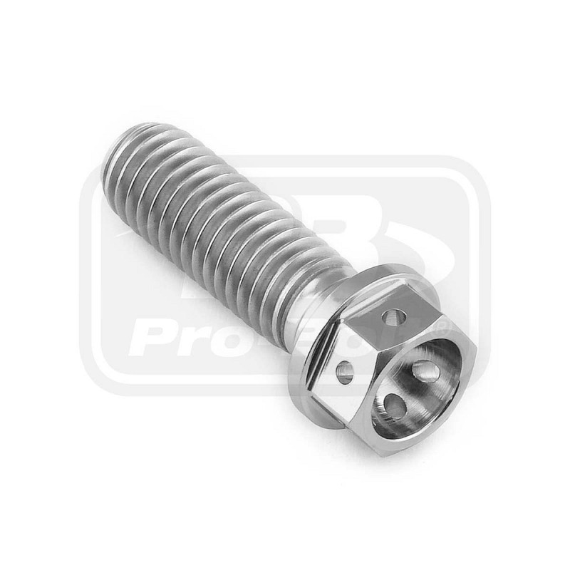 PRO-BOLT ΒΙΔΑ ΤΙΤΑΝΙΟΥ ΕΞΑΓΩΝΗ M8x(1.25mm)x25mm - Race Spec