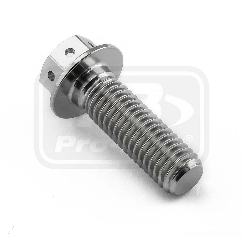 PRO-BOLT ΒΙΔΑ ΤΙΤΑΝΙΟΥ ΕΞΑΓΩΝΗ M8x(1.25mm)x25mm - Race Spec