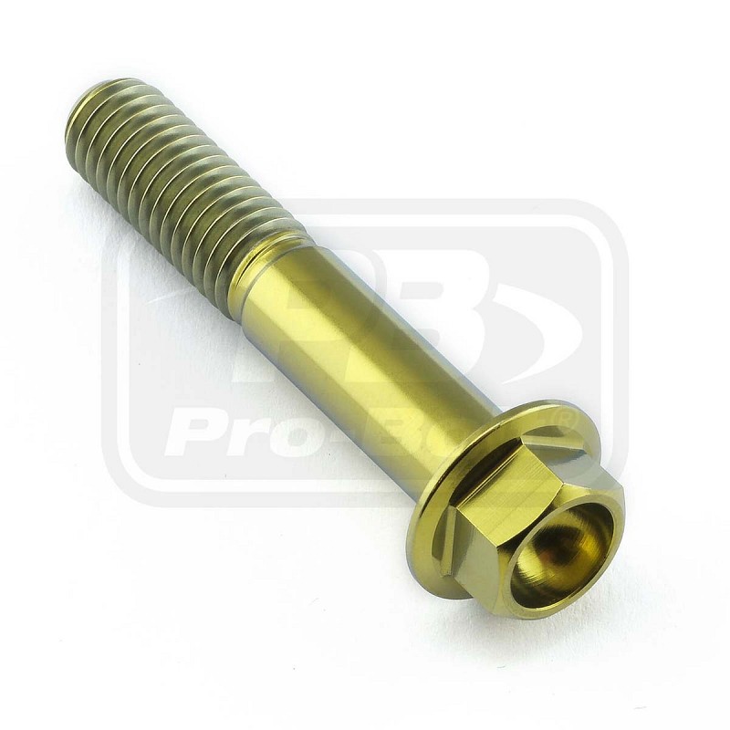 PRO-BOLT ΒΙΔΑ ΤΙΤΑΝΙΟΥ ΕΞΑΓΩΝΗ M8x(1.25mm)x45mm