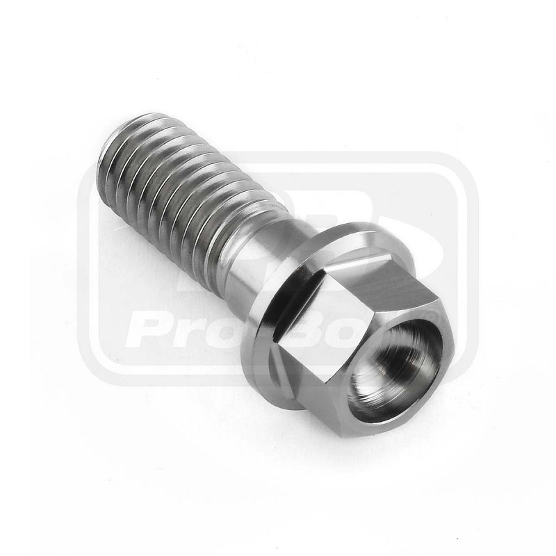 PRO-BOLT ΒΙΔΑ ΤΙΤΑΝΙΟΥ ΕΞΑΓΩΝΗ M8x(1.25mm)22mm