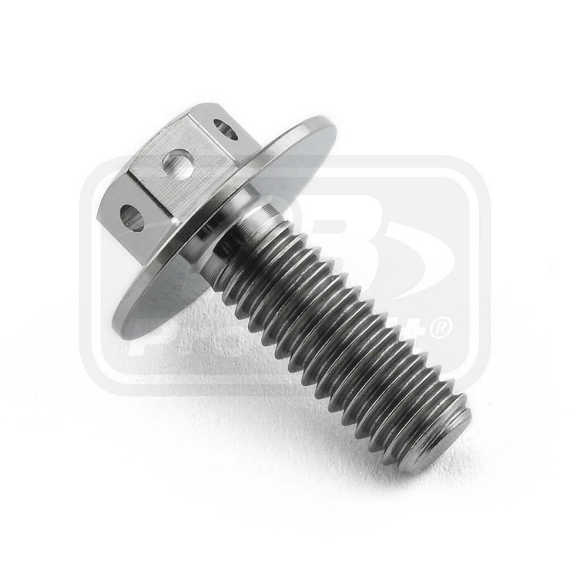 PRO-BOLT ΒΙΔΑ ΤΙΤΑΝΙΟΥ ΕΞΑΓΩΝΗ M6x(1.00mm)x16mm (16mm O/D) - Race Spec