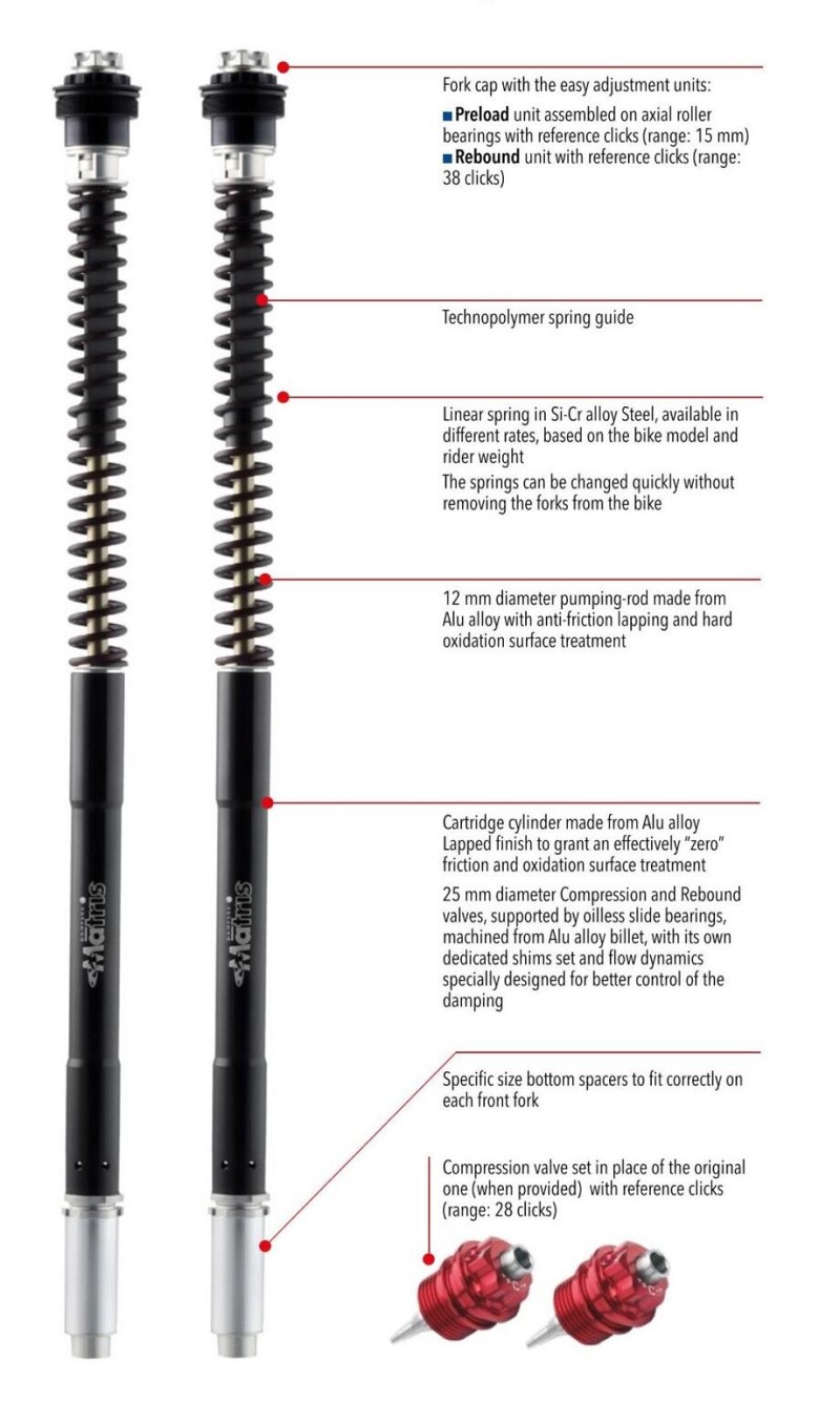 BMW S 1000RR (K46) 15/18 - F25R - (fork type Sachs)
