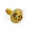 ΒΙΔΕΣ ΕΞΑΓΩΝΕΣ (ΧΑΡΑΓΜΕΝΕΣ) PRO-BOLT Aluminium Flanged Hex Bodywork Bolt M6x(1.00mm)x16mm Race Spec Etched (LBWHX616RE)