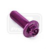 ΒΙΔΕΣ ΕΞΑΓΩΝΕΣ (ΧΑΡΑΓΜΕΝΕΣ) PRO-BOLT Aluminium Flanged Hex Bodywork Bolt M8x(1.25mm)x25mm Race Spec Etched (LBWHX825RE)