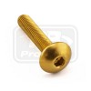 ΒΙΔΕΣ ΠΛΑΤΥΚΕΦΑΛΕΣ PRO-BOLT Aluminium Dome Head Bolt M5x(0.80mm)x25mm (LFB525)