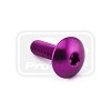 ΒΙΔΕΣ ΠΛΑΤΥΚΕΦΑΛΕΣ PRO-BOLT Aluminium Dome Head Bolt M6x(1.00mm)x20mm (LFB620)