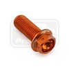 ΒΙΔΕΣ ΕΞΑΓΩΝΕΣ (ΧΑΡΑΓΜΕΝΕΣ) PRO-BOLT Aluminium Flanged Hex Head Bolt M10x(1.25mm)x25mm Race Spec Etched (LHX1025FRE)