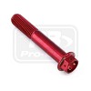 ΒΙΔΕΣ ΕΞΑΓΩΝΕΣ (ΧΑΡΑΓΜΕΝΕΣ) PRO-BOLT Aluminium Flanged Hex Head Bolt M10x(1.25mm)x60mm Race Spec Etched (LHX1060FRE)