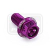 ΒΙΔΕΣ ΕΞΑΓΩΝΕΣ (ΧΑΡΑΓΜΕΝΕΣ) PRO-BOLT Aluminium Flanged Hex Head Bolt M6x(1.00mm)x12mm Race Spec Etched (LHX612RE)