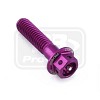 ΒΙΔΕΣ ΕΞΑΓΩΝΕΣ (ΧΑΡΑΓΜΕΝΕΣ) PRO-BOLT Aluminium Flanged Hex Head Bolt M6x(1.00mm)x25mm Race Spec Etched (LHX625RE)