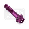 ΒΙΔΕΣ ΕΞΑΓΩΝΕΣ (ΧΑΡΑΓΜΕΝΕΣ) PRO-BOLT Aluminium Flanged Hex Head Bolt M6x(1.00mm)x30mm Race Spec Etched (LHX630RE)