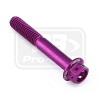 ΒΙΔΕΣ ΕΞΑΓΩΝΕΣ (ΧΑΡΑΓΜΕΝΕΣ) PRO-BOLT Aluminium Flanged Hex Head Bolt M6x(1.00mm)x40mm Race Spec Etched (LHX640RE)
