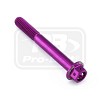 ΒΙΔΕΣ ΕΞΑΓΩΝΕΣ (ΧΑΡΑΓΜΕΝΕΣ) PRO-BOLT Aluminium Flanged Hex Head Bolt M6x(1.00mm)x50m Race Spec Etched (LHX650RE)