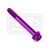 ΒΙΔΕΣ ΕΞΑΓΩΝΕΣ (ΧΑΡΑΓΜΕΝΕΣ) PRO-BOLT Aluminium Flanged Hex Head Bolt M6x(1.00mm)x55mm Race Spec Etched (LHX655RE)