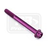 ΒΙΔΕΣ ΕΞΑΓΩΝΕΣ (ΧΑΡΑΓΜΕΝΕΣ) PRO-BOLT Aluminium Flanged Hex Head Bolt M6x(1.00mm)x60mm Race Spec Etched (LHX660RE)