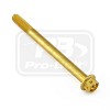 ΒΙΔΕΣ ΕΞΑΓΩΝΕΣ (ΧΑΡΑΓΜΕΝΕΣ) PRO-BOLT Aluminium Flanged Hex Head Bolt M6x(1.00mm)x75mm Race Spec Etched (LHX675RE)