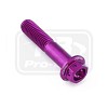 ΒΙΔΕΣ ΕΞΑΓΩΝΕΣ (ΧΑΡΑΓΜΕΝΕΣ) PRO-BOLT Aluminium Flanged Hex Head Bolt M8x(1.25mm)x40mm Race Spec Etched (LHX840RE)