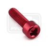 PRO-BOLT ΒΙΔΕΣ ΑΛΛΕΝ ΑΛΟΥΜΙΝΙΟΥ M6x(1.00mm)x20mm