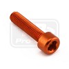 PRO-BOLT ΒΙΔΕΣ ΑΛΛΕΝ ΑΛΟΥΜΙΝΙΟΥ M6x(1.00mm)x25mm