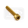 PRO-BOLT ΒΙΔΕΣ ΑΛΛΕΝ ΑΛΟΥΜΙΝΙΟΥ M6x(1.00mm)x30mm