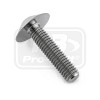 PRO-BOLT ΒΙΔΑ ΤΙΤΑΝΙΟΥ ΠΛΑΤΥΚΕΦΑΛΗ M6x(1.00mm)x25mm