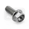 PRO-BOLT ΒΙΔΑ ΤΙΤΑΝΙΟΥ ΕΞΑΓΩΝΗ M5x(0.80mm)x12mm