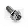 PRO-BOLT ΒΙΔΑ ΤΙΤΑΝΙΟΥ ΕΞΑΓΩΝΗ M6x(1.00mm)x16mm