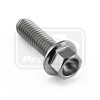 PRO-BOLT ΒΙΔΑ ΤΙΤΑΝΙΟΥ ΕΞΑΓΩΝΗ M6x(1.00mm)x20mm