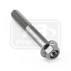 PRO-BOLT ΒΙΔΑ ΤΙΤΑΝΙΟΥ ΕΞΑΓΩΝΗ M6x(1.00mm)x40mm