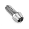 PRO-BOLT ΒΙΔΑ ΑΛΛΕΝ ΤΙΤΑΝΙΟΥ M10x(1.25mm)x25mm
