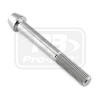 PRO-BOLT ΒΙΔΑ ΑΛΛΕΝ ΤΙΤΑΝΙΟΥ M10x(1.25mm)x80mm