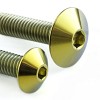 PRO-BOLT ΚΙΤ ΒΙΔΕΣ ΤΙΤΑΝΙΟΥ ΠΛΑΤΥΚΕΦΑΛΕΣ ΦΕΡΙΝΚ Suzuki GSXR1000 K5-K6