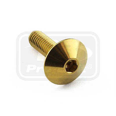PRO-BOLT ΒΙΔΑ ΑΝΟΞΕΙΔΩΤΗ ΠΛΑΤΥΚΕΦΑΛΗ M6x(1.00mm)x20mm