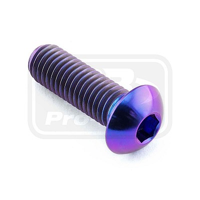 PRO-BOLT ΒΙΔΑ ΤΙΤΑΝΙΟΥ ΠΛΑΤΥΚΕΦΑΛΗ ΔΙΣΚΟΦΡΕΝΟΥ BMW/KTM M8x25mm