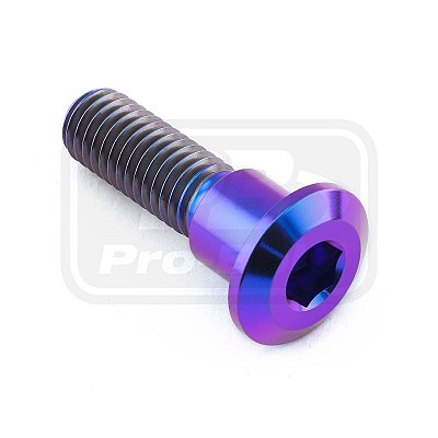 PRO-BOLT ΒΙΔΑ ΤΙΤΑΝΙΟΥ ΠΛΑΤΥΚΕΦΑΛΗ ΔΙΣΚΟΦΡΕΝΟΥ TRIUMPH (10mm Collar)
