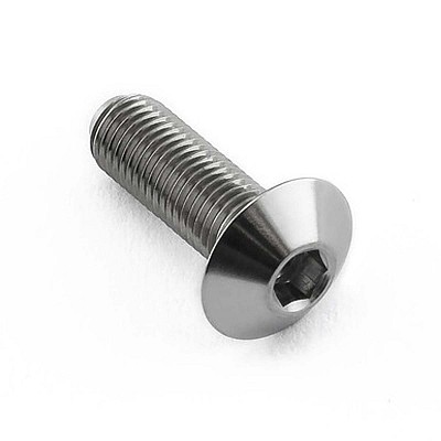 PRO-BOLT ΒΙΔΑ ΤΙΤΑΝΙΟΥ ΠΛΑΤΥΚΕΦΑΛΗ M4x(0.50mm)x12mm